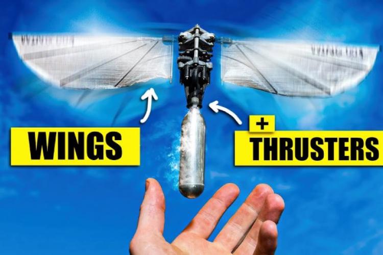 Youtuber Pioneers Ornithopter Project Aiming for Vertical Flight